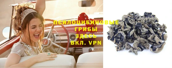 ешки Гусиноозёрск