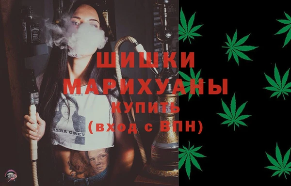 эйфоретик Ветлуга