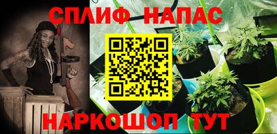 PSILOCYBIN Малоярославец