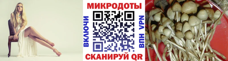 МЕГА маркетплейс  Городец  Галлюциногенные грибы Psilocybine cubensis 