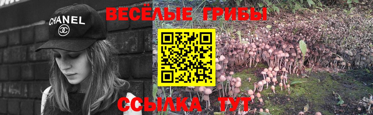 Галлюциногенные грибы MAGIC MUSHROOMS Городец